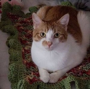 Meet your Posher, Deb